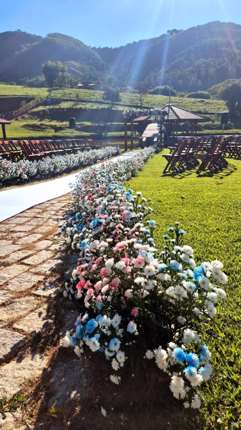 WhatsApp-Image-2025-07-29-at-09.28.01